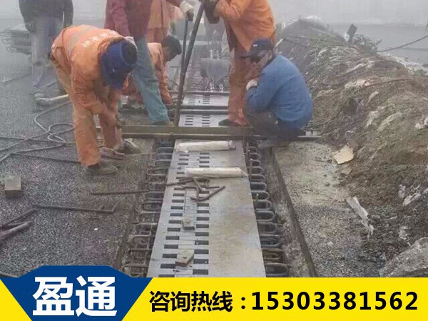 SF梳齒板式伸縮裝置